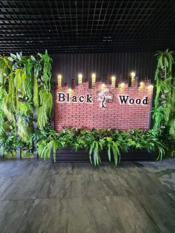 Гостиница Blaak Wood Геленджик-4